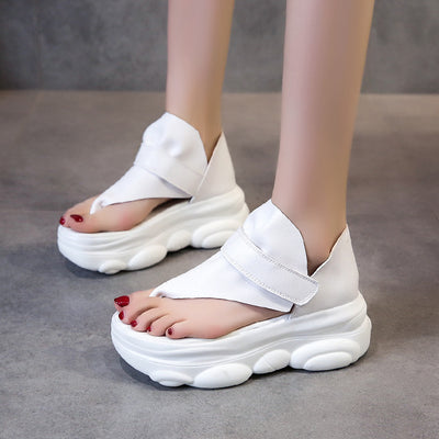 Product model 5