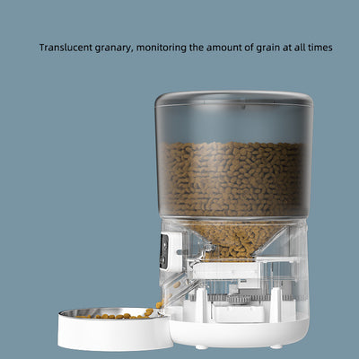 Product model 5